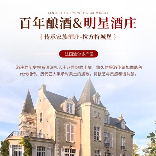 【国际金奖 享誉满名】  拉芳特古堡干红葡萄酒14°%  法定AOC产区 商品图2