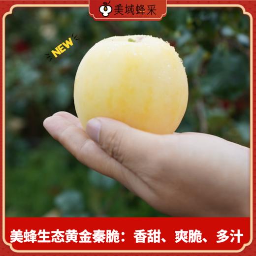 【顺丰/京东】美蜂彩虹苹果礼盒 黄金秦脆+贵妃+瑞雪  高山净土 生态种植 远离污染 口感蜜脆浓香 BMF 商品图1