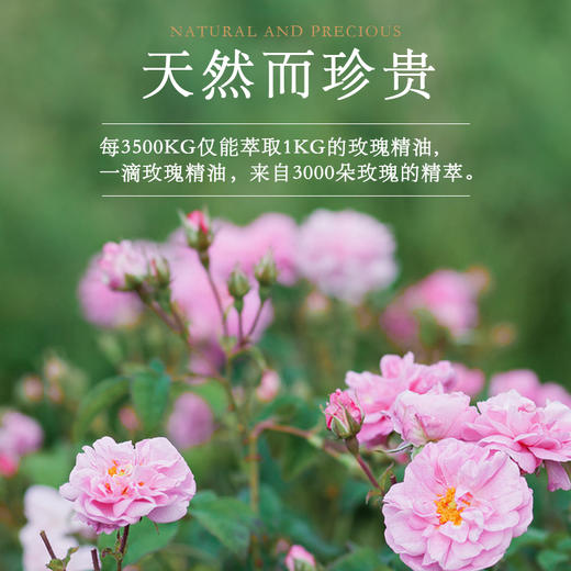 玫瑰精油皂 商品图5