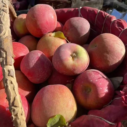 新疆阿克苏冰糖心苹果手提装  整箱10斤左右 商品图3