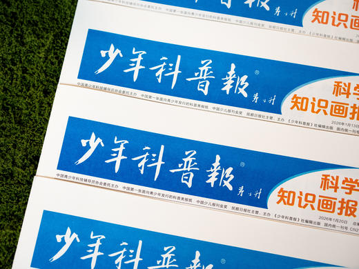 《少年科普报》2026全年订52期|小学科学素养报，一期吃透一个科学主题，横跨10大知识领域，理科启蒙零距离，早读早开窍 商品图2