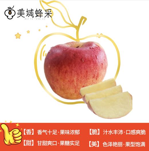 【顺丰/京东】美蜂贵妃苹果 高山净土生态种植 蚯蚓肥料浇灌  口感蜜脆浓香 BMF 商品图2