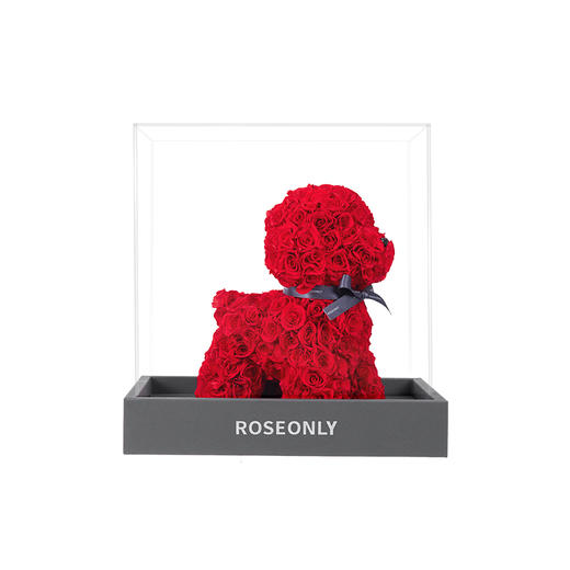 【告白推荐】ROSEONLY诺誓 高端定制 永生玫瑰 玫瑰公仔 玫瑰守爱狗 20cm 定制款 送女友爱人礼物 商品图1
