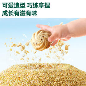 英氏（Engnice）婴幼儿DHA谷物酥饼干核桃味 婴儿零食儿童饼干宝宝零食80g