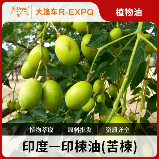 印楝油 Neem OiL 印度苦楝 手工皂 洁面洗护化妆品原料批发 商品图0