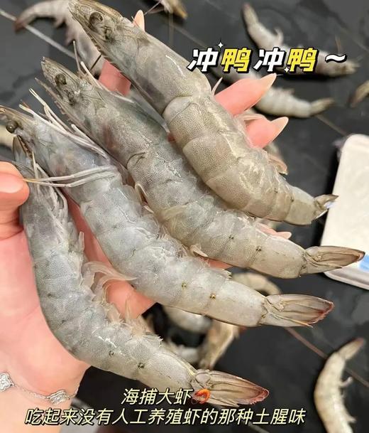 厄瓜多尔盐冻大虾20-30超特大号海鲜虾顺丰包邮 商品图2