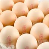 圣迪乐 谷物鸡蛋20枚 1kg/盒 商品缩略图5