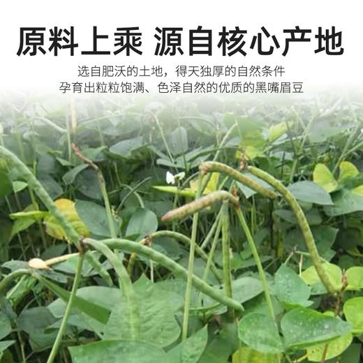 袋鼠小布云南高原黑嘴眉豆 720g/罐 粒大饱满 素食优选 商品图1