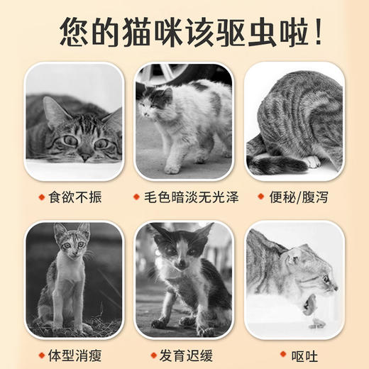 【德赛宝】芬苯达唑片-6片盒装狗狗打虫药幼猫幼犬驱蛔虫 商品图1