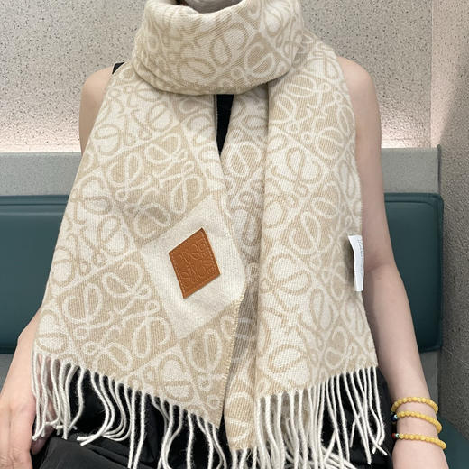 秋冬特惠💰300 罗意威围巾 新款男女中性款【LW条纹长巾】 商品图1