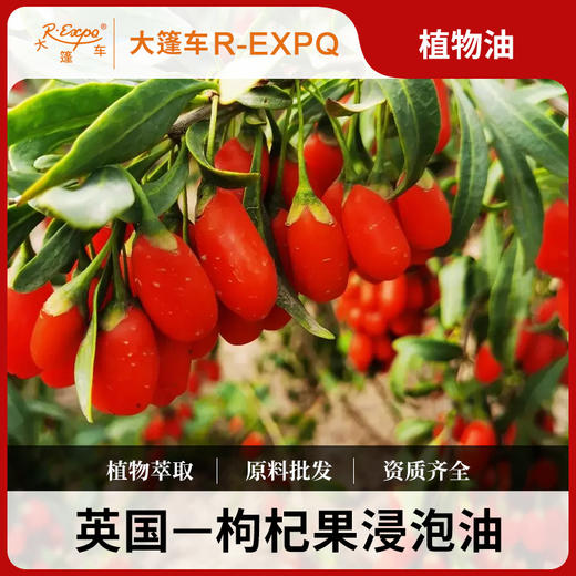 枸杞果浸泡油原料批发SPA按摩植物基础油美容院按摩油批发 商品图0
