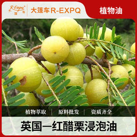 红醋栗浸泡油Redcurrant植物油基础油美容院按摩油原料批发