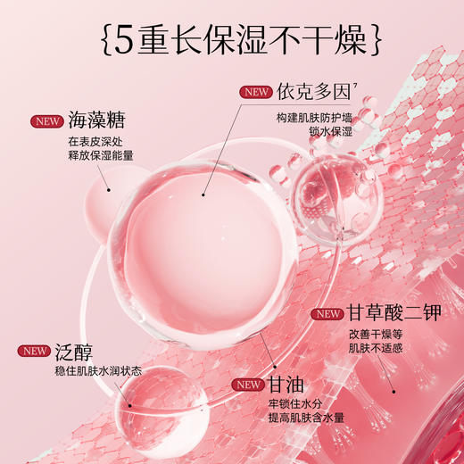 【颐莲】颐莲玻尿酸深层补水喷雾（新年定制款） 商品图4