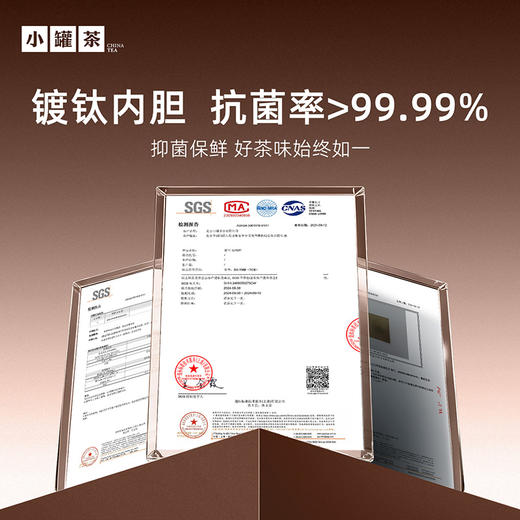 【茶具上新】小罐茶 闷香闷泡杯（黛筠绿）   【现货】 商品图2