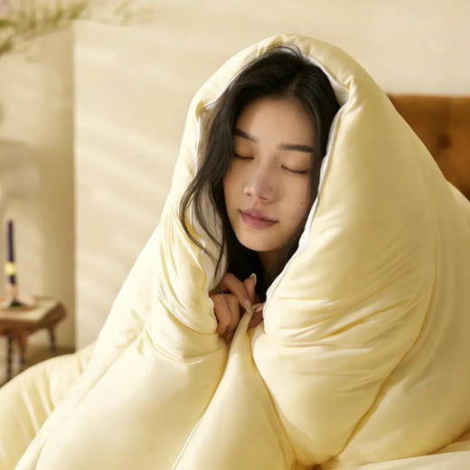 巨暖和！轻软蓬，赛鹅绒！恒源祥 新款云朵秋冬被 比鹅绒更柔软更温暖 绗缝花色（单被子） 商品图9