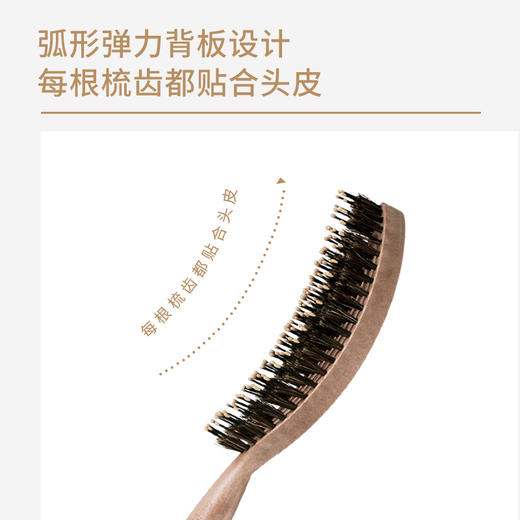 yao韩国原产猪鬃梳舒适弹力按摩梳护理受损发质易清理 商品图3