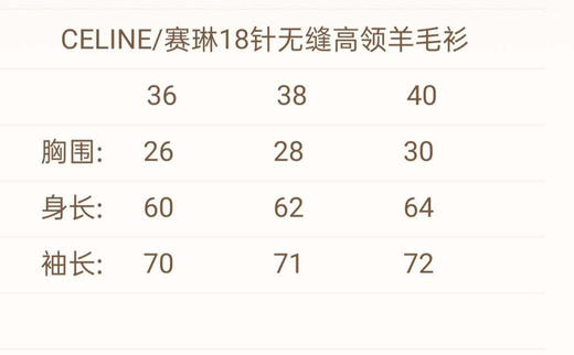 断码捡漏
出口订单尾货！  
Celine赛琳女士高领纯羊毛针织打底衫 商品图7