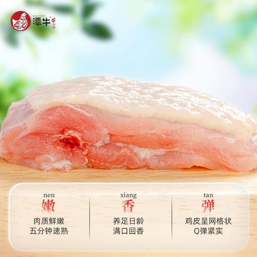 送礼佳品-海南潭牛文昌鸡母鸡走地鸡糟粕醋套餐3-4人份鸡肉酸辣火锅套餐 商品图1