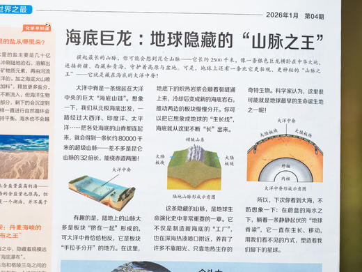 《少年科普报》2026全年订52期|小学科学素养报，一期吃透一个科学主题，横跨10大知识领域，理科启蒙零距离，早读早开窍 商品图13