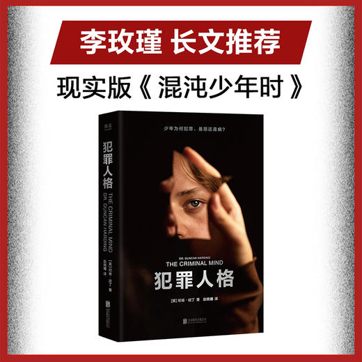 犯罪人格（李玫瑾作序，12个重罪少年的精神鉴定现场，揭秘病态人格，马皑、陈碧推荐） 商品图1