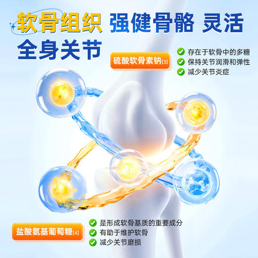 修正 海斯莱福@氨基葡萄糖硫酸软骨素钙胶襄   10粒/盒 商品图3