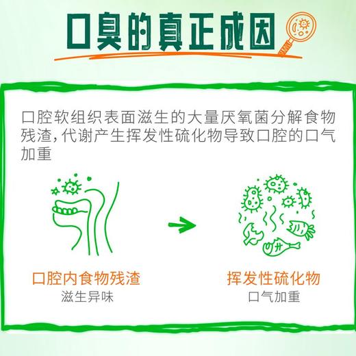 TheraBreath凯斯博士漱口水清新口气减少细菌温和0酒精含漱液 商品图7