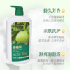 澳雪碌柚叶清爽净澈沐浴露1kg*2 商品缩略图2