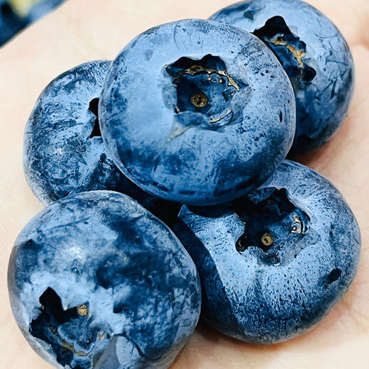 【推荐】疆旭阳18mm花香蓝莓6盒*125克 礼盒装   脆甜可口 护眼蓝莓 商品图1