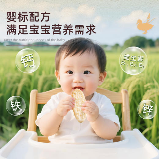 宝贝易餐婴幼儿无麸质稻鸭米饼40g（4g*10） 商品图7