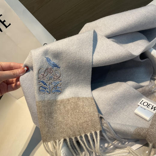 秋冬特惠💰260 罗意威️围巾 难得一见的温柔配色 商品图7