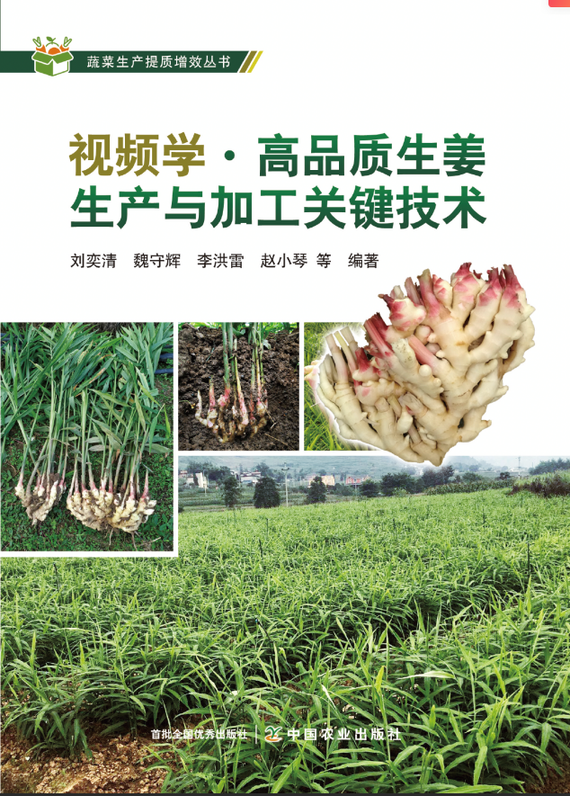视频学 高品质生姜生产与加工关键技术