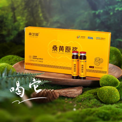 桑芝园桑黄原浆100ml(10mlx10支)/盒 商品图2