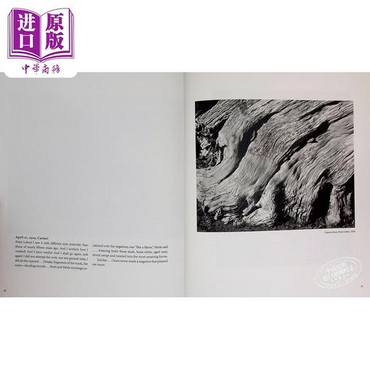 预售 【中商原版】Edward Weston：The Flame of Recognition 进口艺术 爱德华 韦斯顿摄影集 认可之火 商品图7