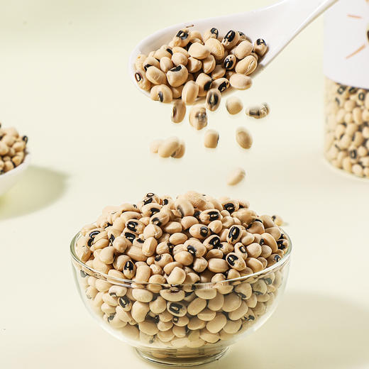 袋鼠小布云南高原黑嘴眉豆 720g/罐 粒大饱满 素食优选 商品图4