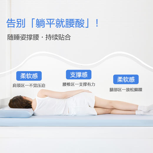 本屋创品A3深睡鲸垫记忆棉床垫软垫家用海绵垫子单人榻榻米租房宿舍学生床褥 商品图3