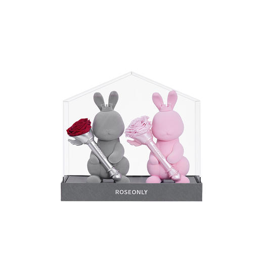【爱之屋-公仔】ROSEONLY诺誓 永生玫瑰 公仔系列 爱之屋公仔 心意熊  送朋友 商品图4