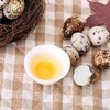 【农家杂粮喂养】保卫蛋蛋 鹌鹑蛋 50/100枚 蛋清晶莹剔透蛋白有弹性 商品缩略图1