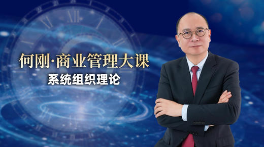系统组织理论 商品图0