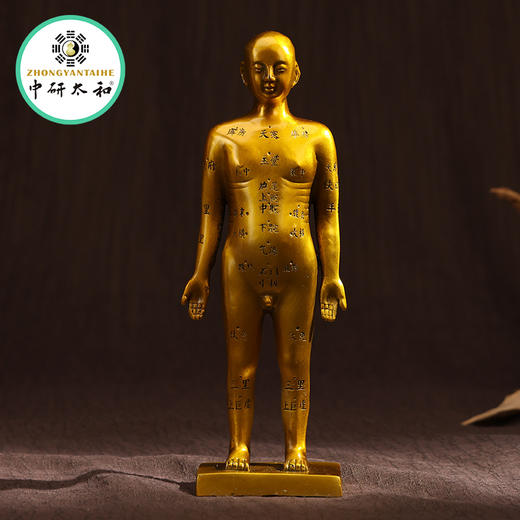 黄铜针灸穴位铜人全身穴位经络模型大诊所药店装饰扎针中医药医馆 商品图6