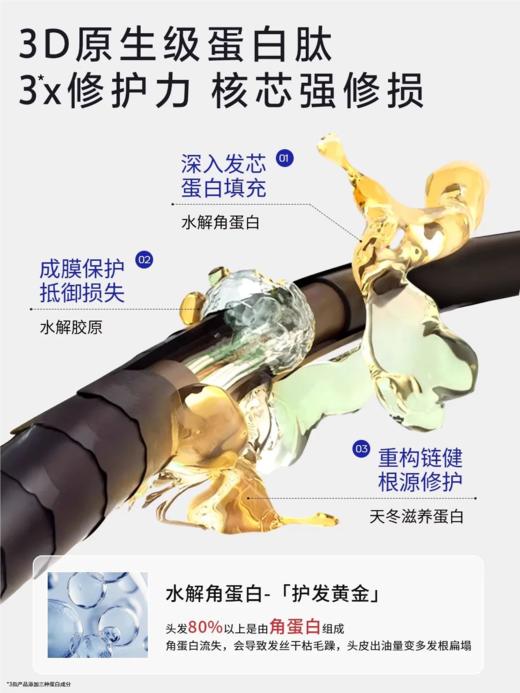 （新视觉）EHD防脱固发洗发水护发组合 持证防脱固发 商品图11