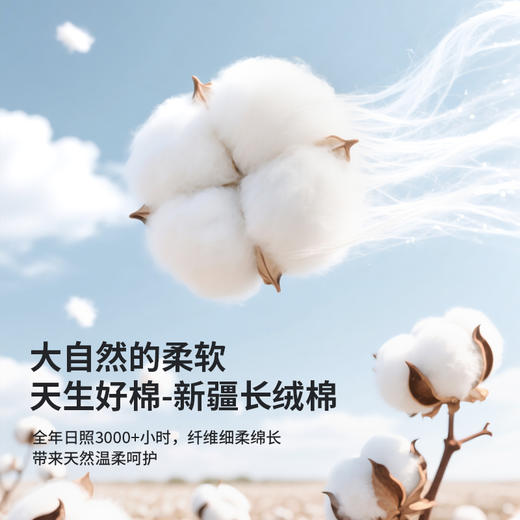 「AILISCOCO长绒棉蕾丝内裤」新疆长绒棉亲肤 加长底档防潮不摩擦 前片蕾丝美观别致 商品图1