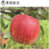 【顺丰/京东】美蜂贵妃苹果 高山净土生态种植 蚯蚓肥料浇灌  口感蜜脆浓香 BMF 商品缩略图1