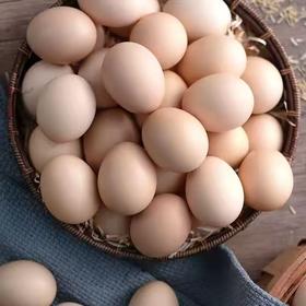 松桃县 苗源纯 谷物鸡蛋45枚/盒