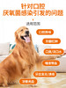 普安特狗狗口腔溃疡口臭口炎牙痛牙龈炎红肿宠物甲硝唑卡妥利zx 商品缩略图1