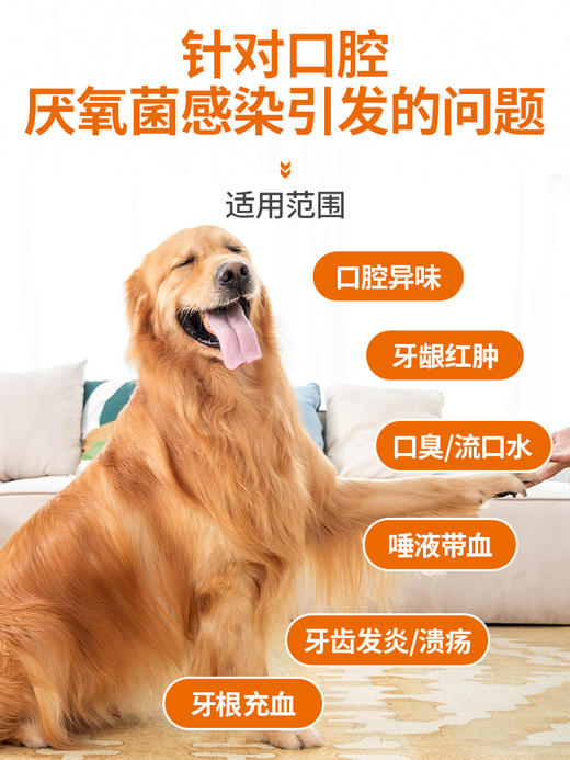 普安特狗狗口腔溃疡口臭口炎牙痛牙龈炎红肿宠物甲硝唑卡妥利zx 商品图1