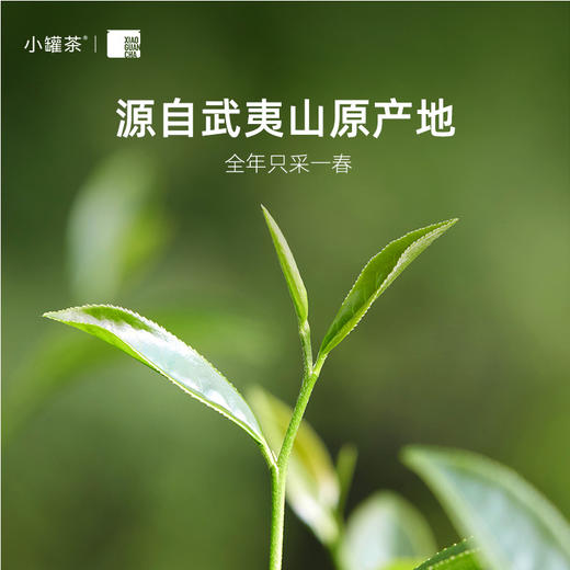 小罐茶 大师系列·大红袍茶4g*10罐装4.0版A 大红袍(畅享) 4g*10罐装    乌龙茶 岩茶   商品图1