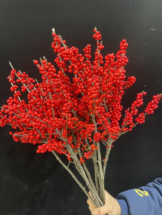 天物冬青秋实A50cm批发 商品图4