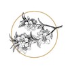 【多件多折】coinqian花鸟护照夹 商品缩略图1