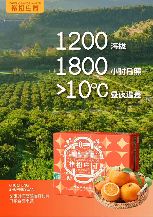 褚橙庄园沃柑礼盒4kg装 商品图2