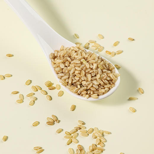 袋鼠小布黑龙江粳米780g罐装 粒粒饱满自然香软胚芽米健康主食 商品图4